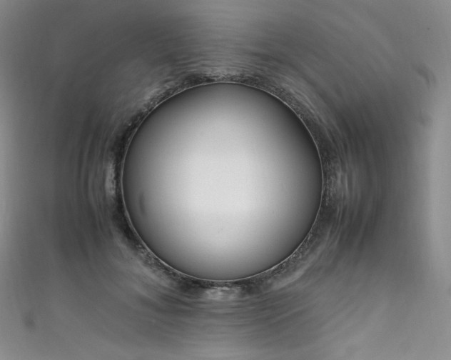 X0000111850700200907231429