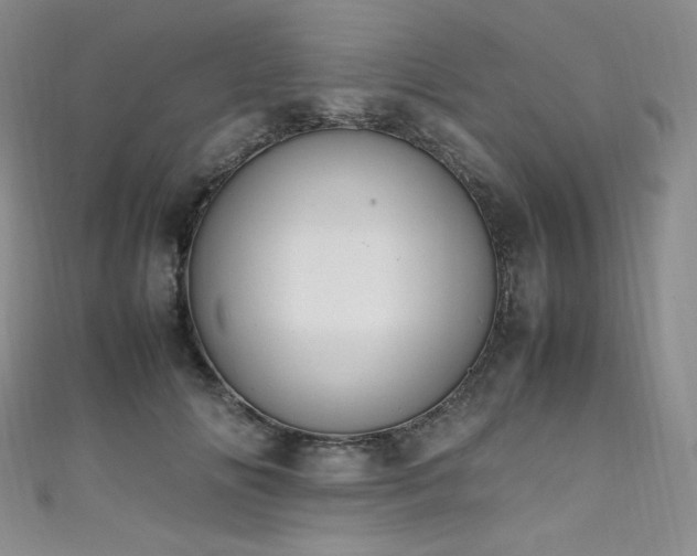 X0000111850702200907231429