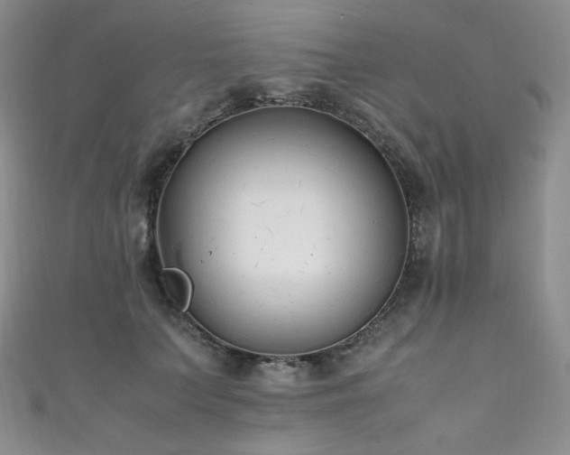 X0000111850703200907231429