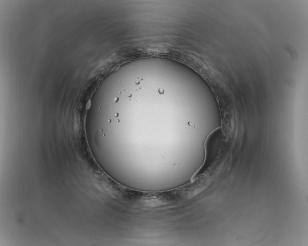X0000111850704200907231429