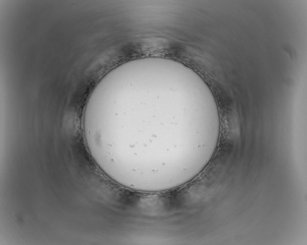 X0000111850705200907231429