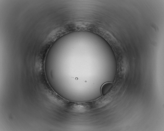 X0000111850706200907231429