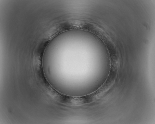 X0000111850707200907231429