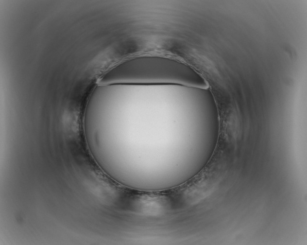 X0000111850708200907231429