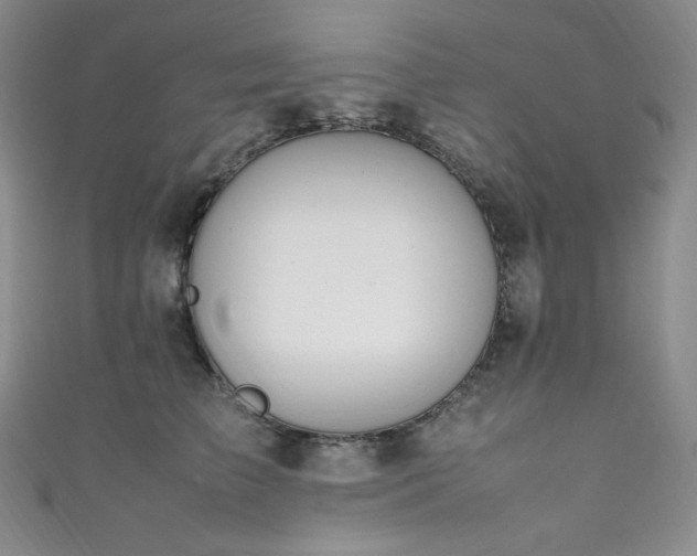 X0000111850709200907231429