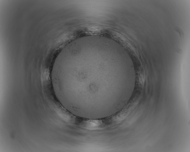 X0000111850711200907231429