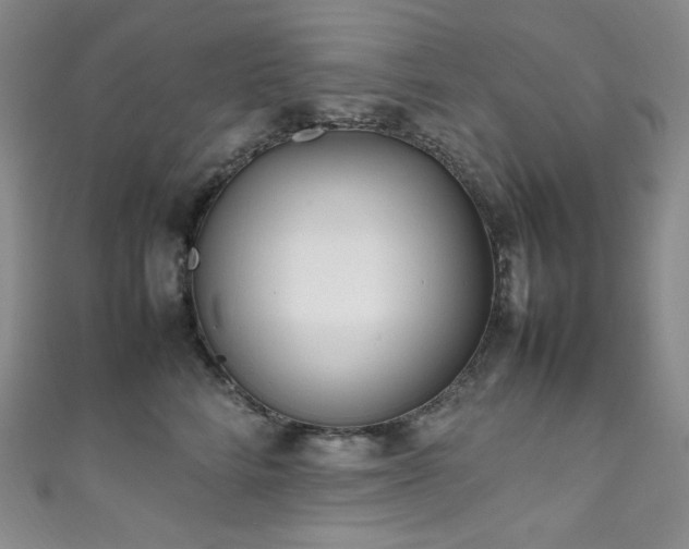 X0000111850712200907231429