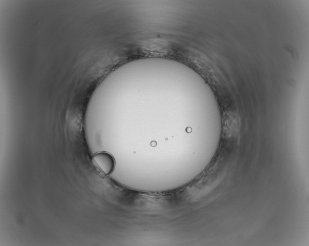 X0000111850713200907231429