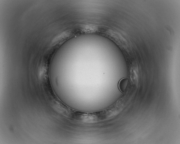 X0000111850714200907231429