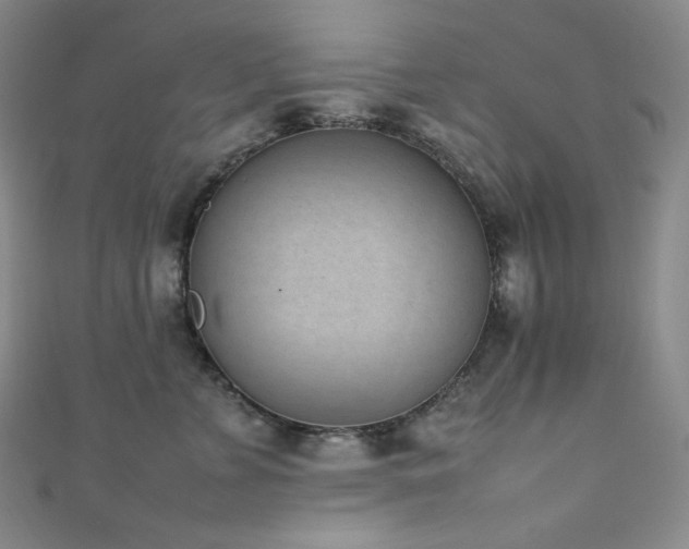 X0000111850715200907231429