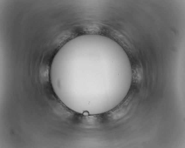 X0000111850717200907231428