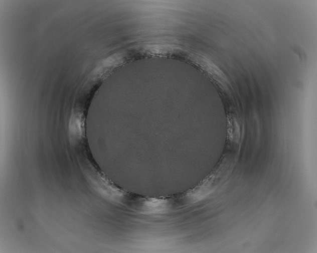 X0000111850718200907231428