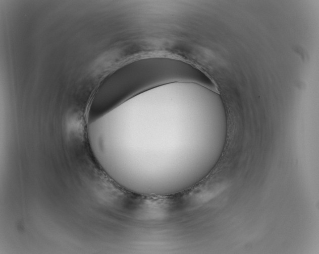 X0000111850720200907231428