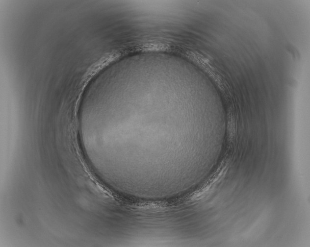 X0000111850721200907231428