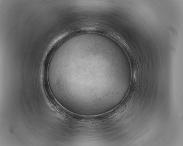 X0000111850724200907231428
