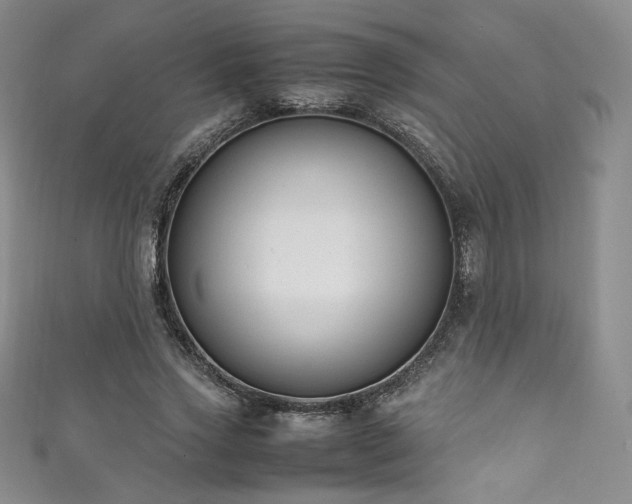 X0000111850733200907231428