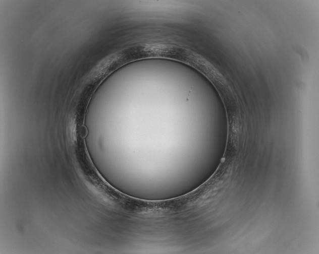 X0000111850734200907231428
