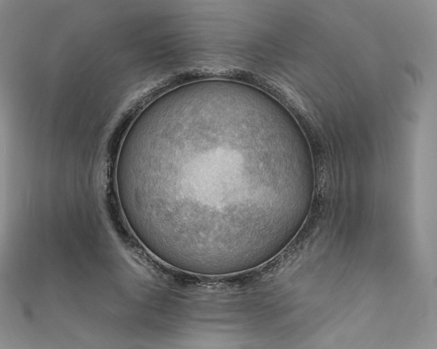 X0000111850736200907231428