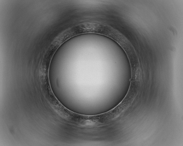 X0000111850737200907231428