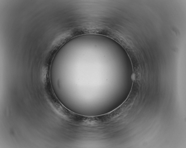 X0000111850742200907231428