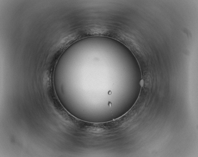 X0000111850743200907231428