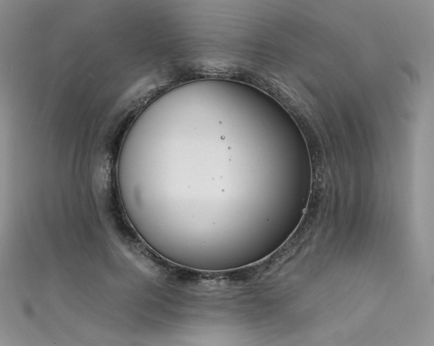X0000111850744200907231428