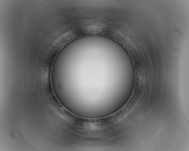 X0000111850745200907231428
