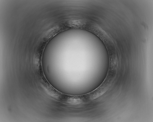 X0000111850749200907231428