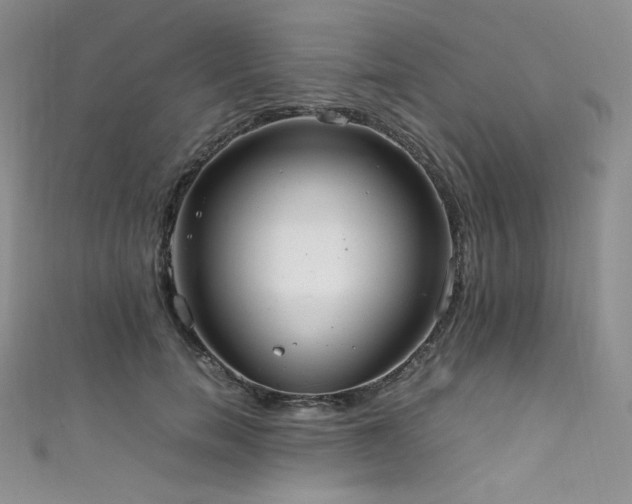 X0000111850750200907231428