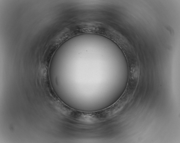 X0000111850753200907231428