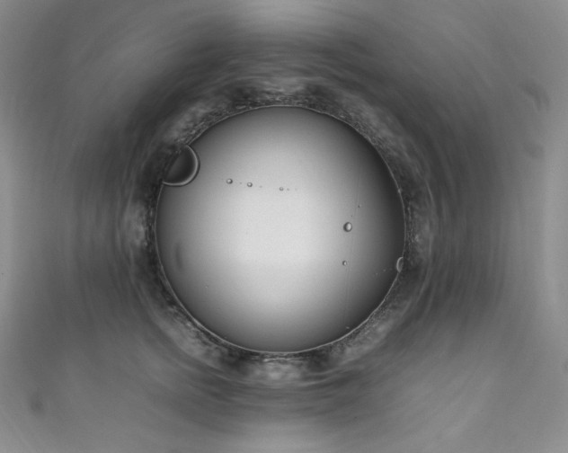 X0000111850758200907231428