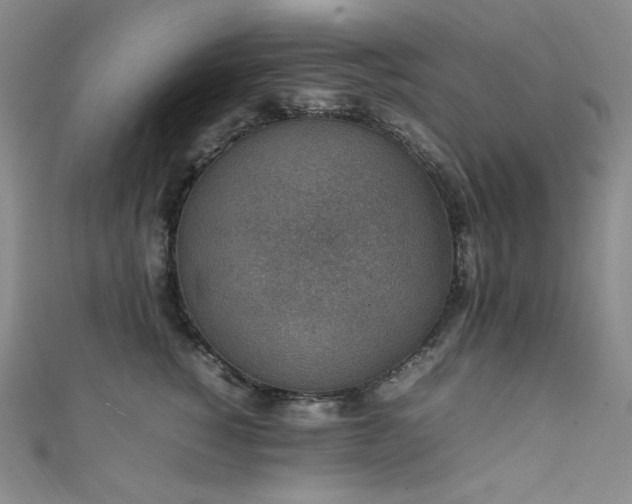X0000111850760200907231428