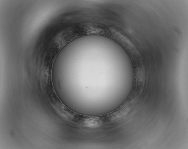 X0000111850761200907231428