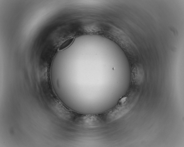 X0000111850762200907231428