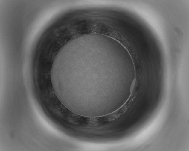 X0000111850766200907231428