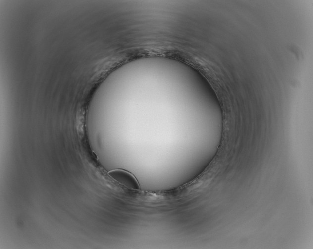 X0000111850768200907231428