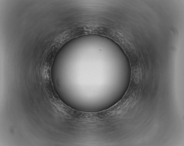 X0000111850770200907231428