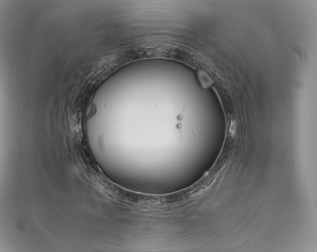 X0000111850771200907231428