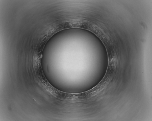 X0000111850772200907231428
