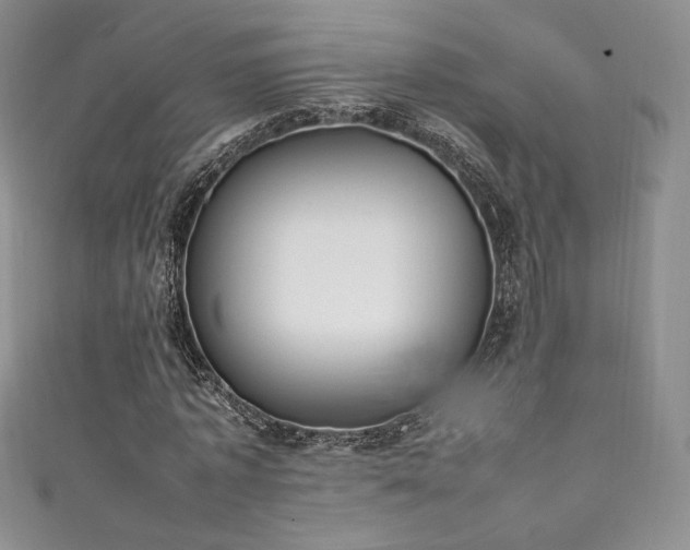 X0000111850773200907231428