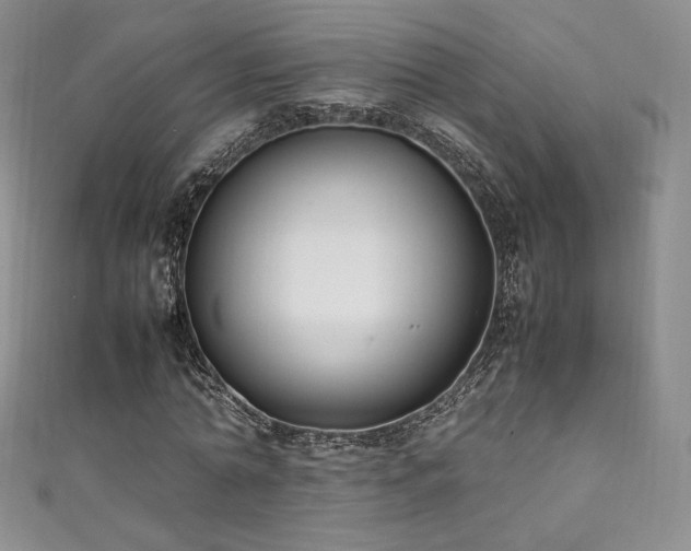 X0000111850774200907231428