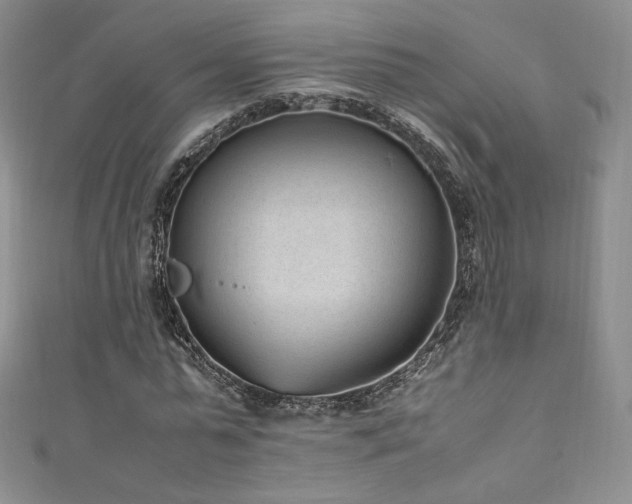 X0000111850775200907231428