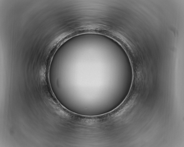 X0000111850778200907231428