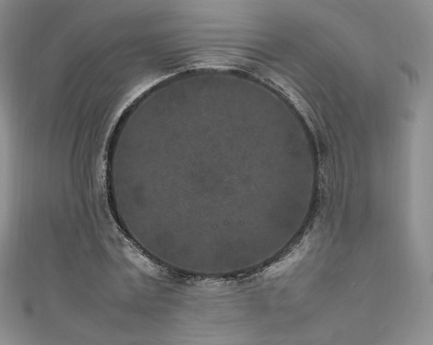 X0000111850779200907231428