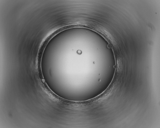 X0000111850780200907231428