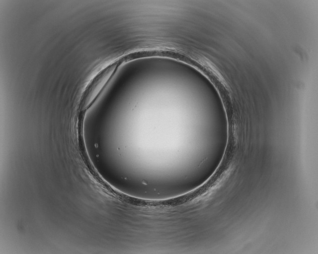 X0000111850781200907231428