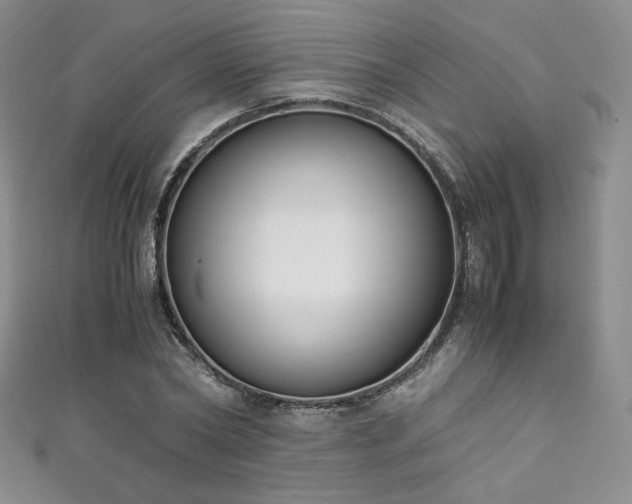 X0000111850782200907231428