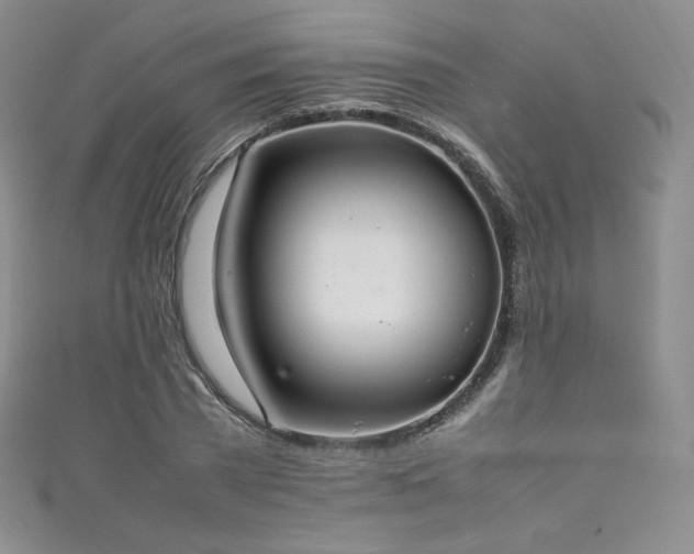 X0000111850785200907231428