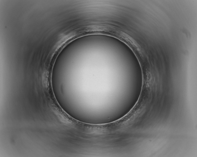 X0000111850786200907231428