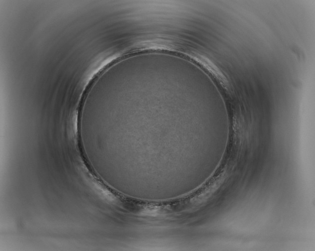 X0000111850790200907231428